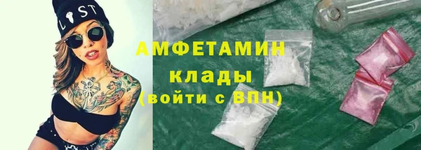 гидра Няндома