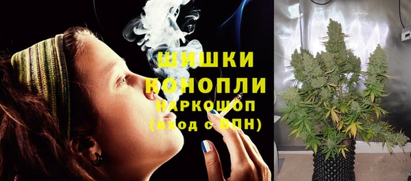 гидра Няндома