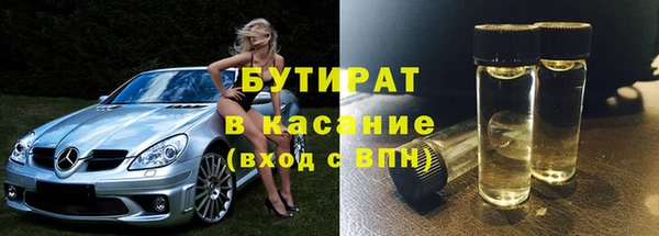 гидра Няндома